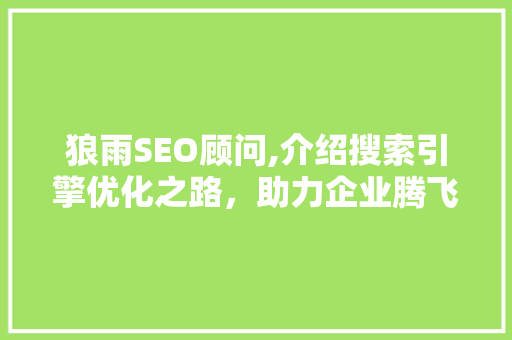 狼雨SEO顾问,介绍搜索引擎优化之路，助力企业腾飞