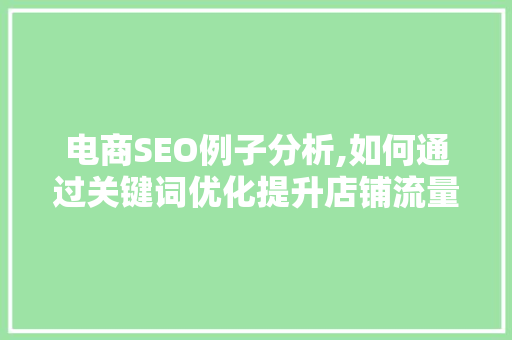 电商SEO例子分析,如何通过关键词优化提升店铺流量