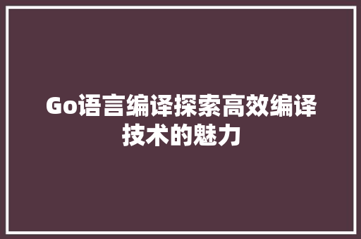 Go语言编译探索高效编译技术的魅力
