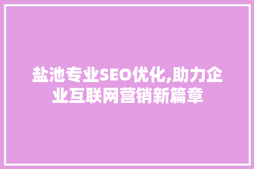 盐池专业SEO优化,助力企业互联网营销新篇章