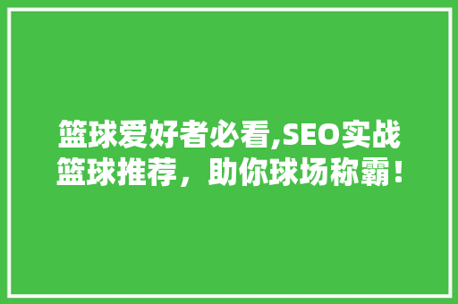 篮球爱好者必看,SEO实战篮球推荐，助你球场称霸！
