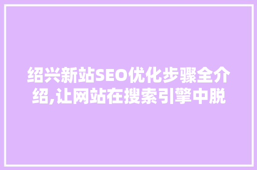 绍兴新站SEO优化步骤全介绍,让网站在搜索引擎中脱颖而出