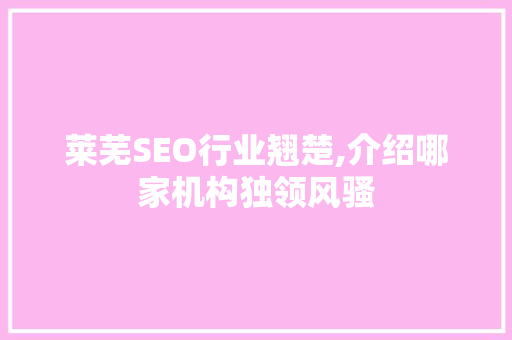 莱芜SEO行业翘楚,介绍哪家机构独领风骚