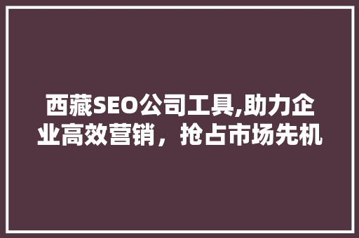 西藏SEO公司工具,助力企业高效营销，抢占市场先机