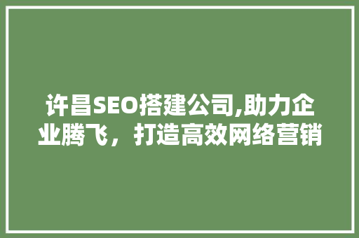 许昌SEO搭建公司,助力企业腾飞，打造高效网络营销步骤