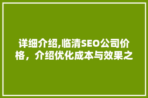 详细介绍,临清SEO公司价格，介绍优化成本与效果之谜
