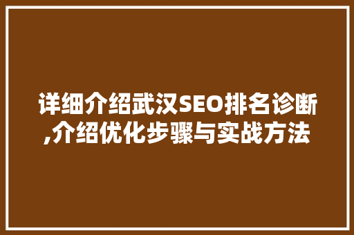 详细介绍武汉SEO排名诊断,介绍优化步骤与实战方法