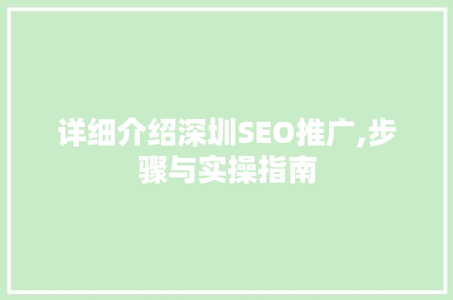 详细介绍深圳SEO推广,步骤与实操指南