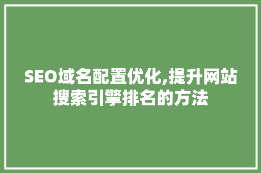 SEO域名配置优化,提升网站搜索引擎排名的方法