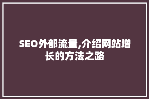 SEO外部流量,介绍网站增长的方法之路