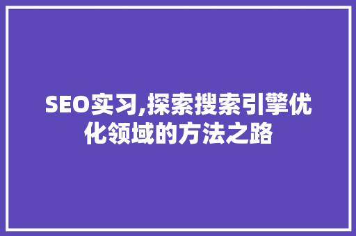 SEO实习,探索搜索引擎优化领域的方法之路