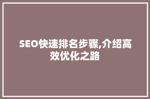 SEO快速排名步骤,介绍高效优化之路