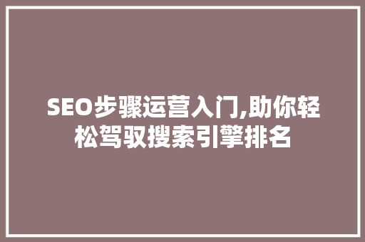 SEO步骤运营入门,助你轻松驾驭搜索引擎排名