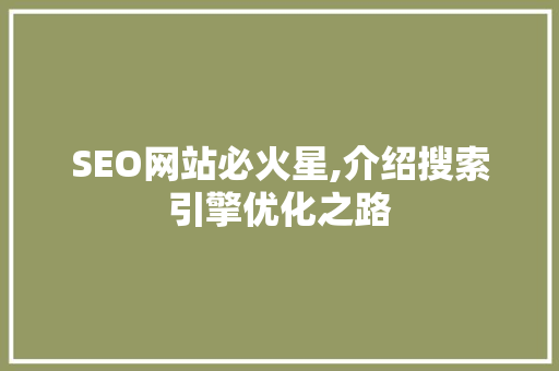 SEO网站必火星,介绍搜索引擎优化之路