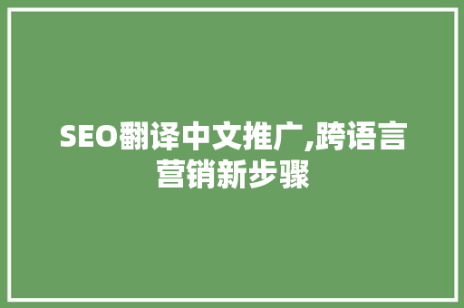 SEO翻译中文推广,跨语言营销新步骤