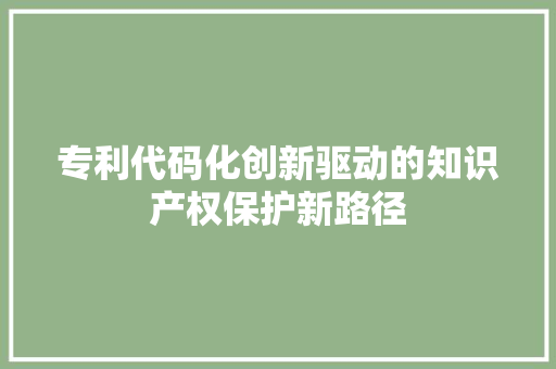 专利代码化创新驱动的知识产权保护新路径