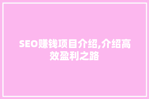SEO赚钱项目介绍,介绍高效盈利之路