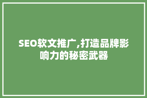SEO软文推广,打造品牌影响力的秘密武器