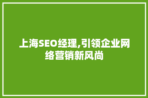 上海SEO经理,引领企业网络营销新风尚