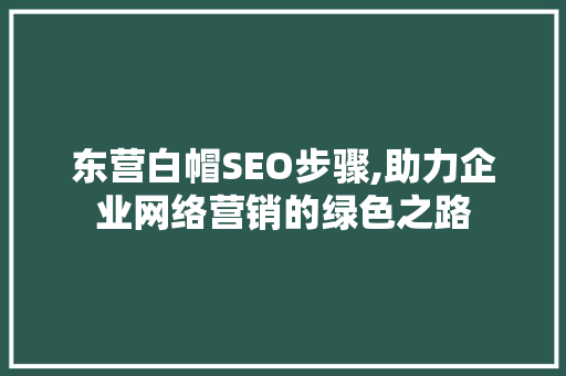 东营白帽SEO步骤,助力企业网络营销的绿色之路