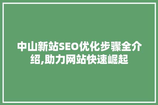 中山新站SEO优化步骤全介绍,助力网站快速崛起