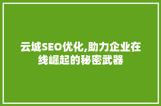 云城SEO优化,助力企业在线崛起的秘密武器