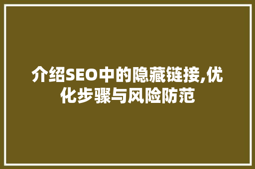 介绍SEO中的隐藏链接,优化步骤与风险防范