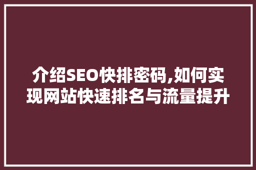 介绍SEO快排密码,如何实现网站快速排名与流量提升