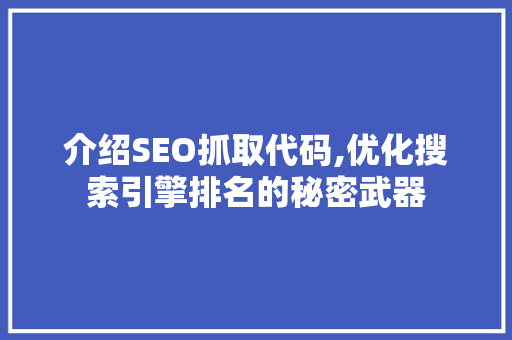 介绍SEO抓取代码,优化搜索引擎排名的秘密武器