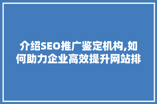 介绍SEO推广鉴定机构,如何助力企业高效提升网站排名