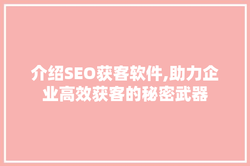 介绍SEO获客软件,助力企业高效获客的秘密武器
