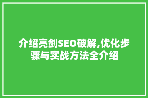 介绍亮剑SEO破解,优化步骤与实战方法全介绍