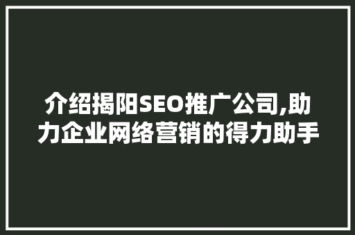 介绍揭阳SEO推广公司,助力企业网络营销的得力助手