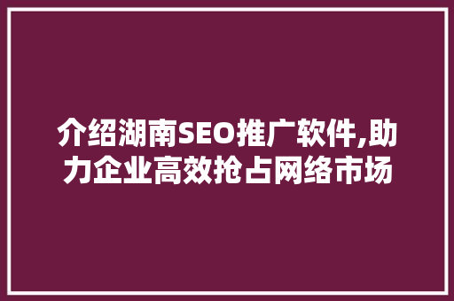 介绍湖南SEO推广软件,助力企业高效抢占网络市场