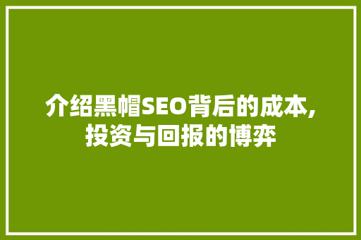 介绍黑帽SEO背后的成本,投资与回报的博弈