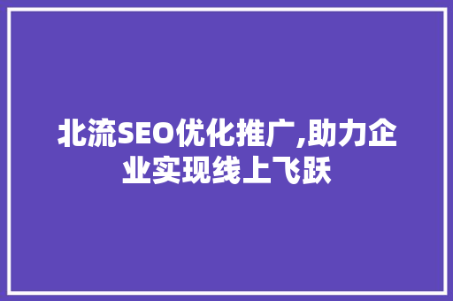 北流SEO优化推广,助力企业实现线上飞跃