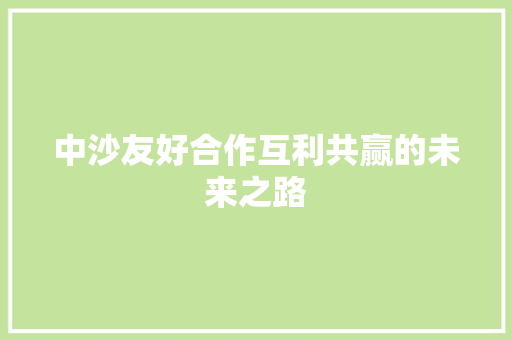 中沙友好合作互利共赢的未来之路