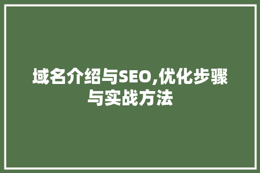 域名介绍与SEO,优化步骤与实战方法