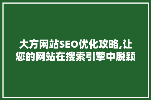 大方网站SEO优化攻略,让您的网站在搜索引擎中脱颖而出  第1张