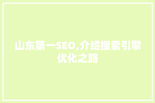 山东第一SEO,介绍搜索引擎优化之路