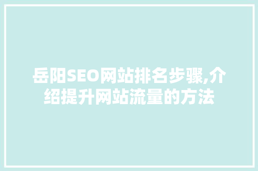 岳阳SEO网站排名步骤,介绍提升网站流量的方法