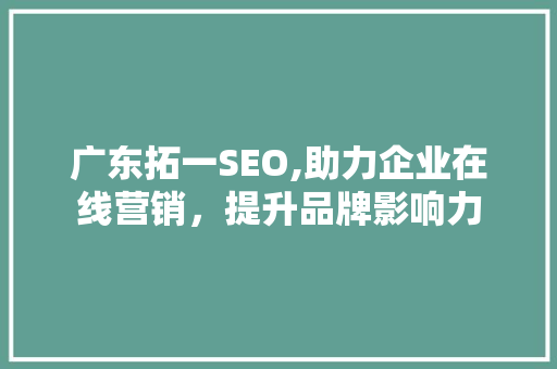 广东拓一SEO,助力企业在线营销，提升品牌影响力