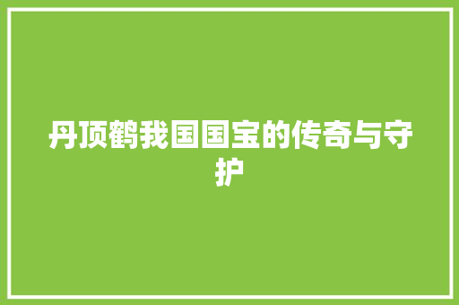 丹顶鹤我国国宝的传奇与守护