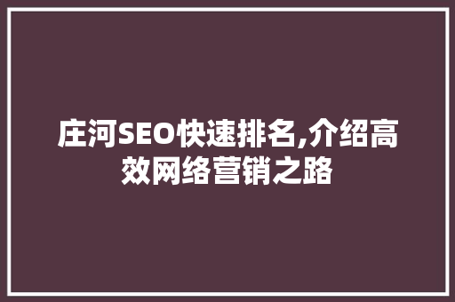 庄河SEO快速排名,介绍高效网络营销之路