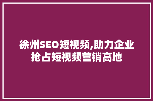 徐州SEO短视频,助力企业抢占短视频营销高地