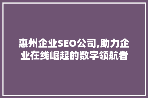 惠州企业SEO公司,助力企业在线崛起的数字领航者