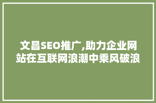 文昌SEO推广,助力企业网站在互联网浪潮中乘风破浪
