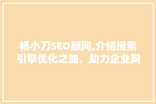 杨小刀SEO顾问,介绍搜索引擎优化之路，助力企业网站崛起