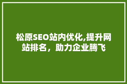 松原SEO站内优化,提升网站排名，助力企业腾飞
