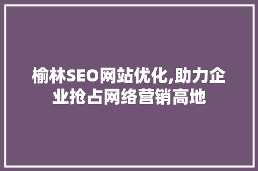 榆林SEO网站优化,助力企业抢占网络营销高地